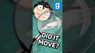 Why We STILL Play Gmod! 🐟💯