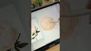 Drawing peony🌿 #process #drawing #stepbystep #sketch #какрисоватьцветы #peony