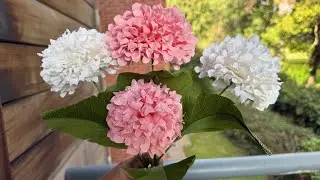 How To Make Gorgeous Hydrangeas | DIY