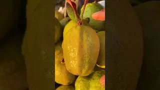 Life secret hack #fruit #facts #inspirationalstory #successmindset #rejection #lifehecks #story