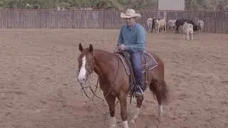 RL Chartier: Get the Cutting Crouch