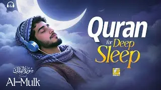 Relax Your Heart & Sleep Peacefully | Deep Healing Lofi Quran Recitation | Zikrullah TV #lofiquran
