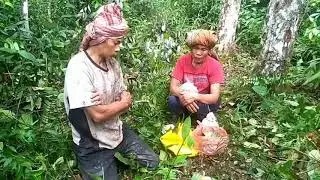 Manghontas, Manige Haminjon di Tobbak Dagal Sigarang-Garang, Doloksamggul, Humbang Hasundutan