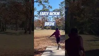 Early worm gets the birdie #discgolf #funny #trendingshorts #youtube #yt #shorts #viralshort #viral