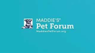 Maddie's Pet Forum - Animal Welfare Conversations 24/7