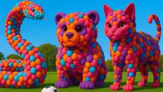 The mascot vibrato assistant Panda placed on the football field is popular,co-produced,and creative