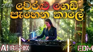 🚀 වෙරළු ගෙඩි පැහෙන කාලේ | Sinhala AI EDM Vibes 🔥🎧