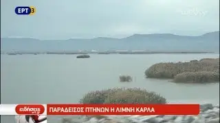 Παράδεισος πτηνών η λίμνη Κάρλα