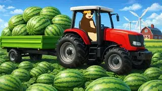 From Seed to Watermelon 🚜🌱🍉 | Bear Uses Plow, Seeder, and Tractor for the Harvest | Realistic Farm