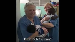 MedWish Medical Brigades | Donna's POV
