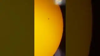 Sonnenbeobachtung im Wei&szlig;licht mit Gelbfilter an einem 80mm ED Refraktor. Juli 2024