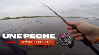 OUVERTURE du BAR 2025 ! Les POISSONS sont au rendez-vous ! Pêche du bar en Normandie.