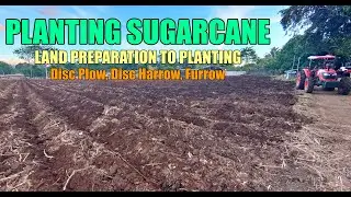 PLANTING SUGARCANE/TUBO | LAND PREPARATION TO PLANTING (Disc Plowing, Disc Harrowing, Furrowing)
