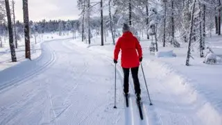 The Best Kind of Adventure Is  Skiing in the Forest Trail | Relaxing Piano Melody 