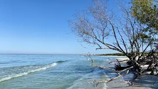 Robb's Saturday Morning Beach Update for North Naples, FL 01.23.21