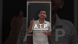 ATP ADP AMP are made up of!