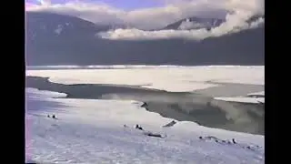 Upper Arrow Lake Boat Trip, 1988
