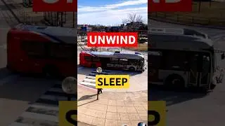 The Ultimate Relaxation: Peaceful Bus Stop Soundscape