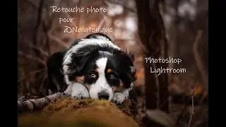RETOUCHE PHOTO [PHOTOSHOP/ LIGHTROOM]
