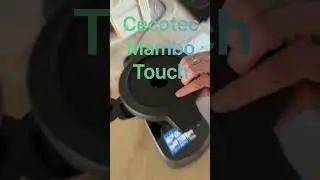 Anbraten mit dem Cecotec Mambo Touch