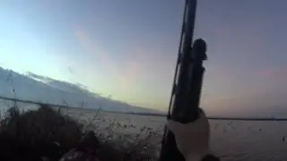 Hunting with Scott Marglin of Fowl Weather Guide Service