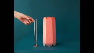 Potr plant vase