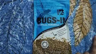 Bugs In Betta Fish Food High Quality 