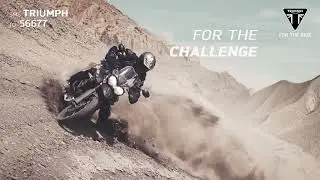 Tiger 800 - For The Adventure
