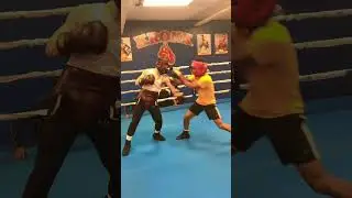 Preparing for the Detroit Golden gloves. April 3 2023 #boxing #sparring #shorts