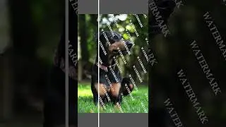 Remove Watermark in photoshop #viral #trending #remove #shorts