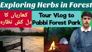 Tour Vlog to Pabbi Forest Park| Kharian Pakistan| Exploring nature| Adventure|
