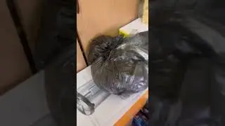 Проводим инвентаризацию в рамках проекта 