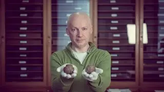 Professor Marcus Du Sautoy: Were these stone balls made by ancient mathematicians?