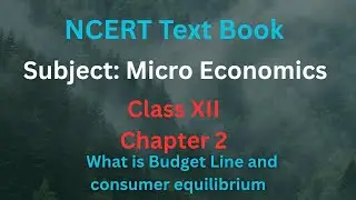 Budget Line Consumer Equilibrium