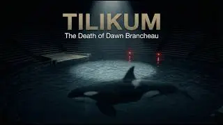 Tilikum the Killer: The Death of Dawn Brancheau