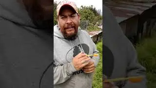 Sulfato de cobre en aves de alto rendimiento