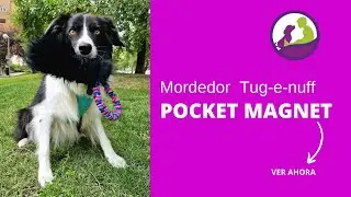 Mordedor de bolsillo con pelo de oveja Pocket MAGNET Tug-e-nuff