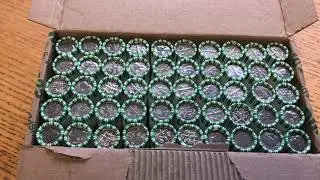 Dime and Quarter Hunt (Coin Roll Hunting Dimes and Quarters)