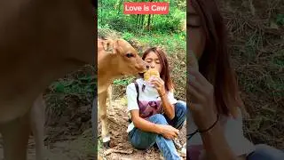 #reels #shortsvideo #shortsvideo #shortsyoutube #reelsindia #reelsbangla #viral #viralvideo