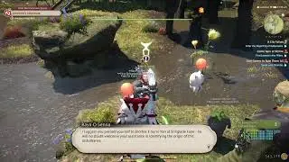 Final Fantasy 14 Live
