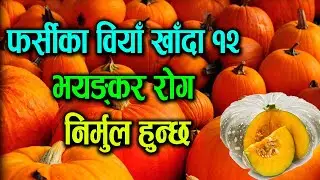 फर्सिको बियाँ खाँदा १२ भयङ्कर रोग निर्मुल हुन्छ Pumpkin Seeds Benifits by Sptv Nepal | Tips