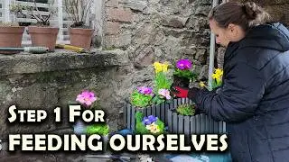 Starting Our Irish Farmhouse & Homestead Food Journey in 2026 for Self Sufficiency