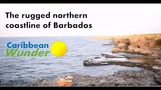 Rugged coastline of Barbados' north coast