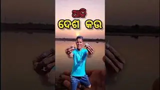 ଆଜି ଦେଶୀ କଉ 🐟 #fishing #desifishing #villagefishing