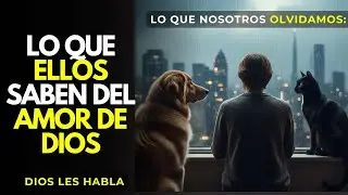 Lo que los animales saben del Amor de Dios (y nosotros olvidamos) 🕊️