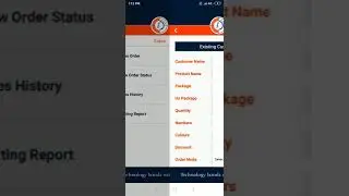 Brainmagic Mobile Sales order