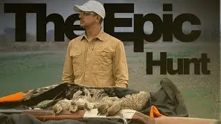 Partridge (Teetar) Hunting Pakistani Style | Vlog