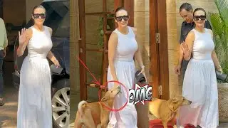 देखिए apne Dog Malaika Arora का आउटफिट कितना खूबसूरत लग रहा है spotted at Banda |Bollywood Chronicle