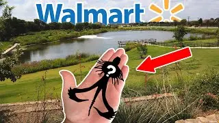 Fishing a WALMART POND!!! | The 10,000 Fish ZUCHI BUG (Does it Work?)