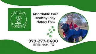 Animal Friends of Washington County